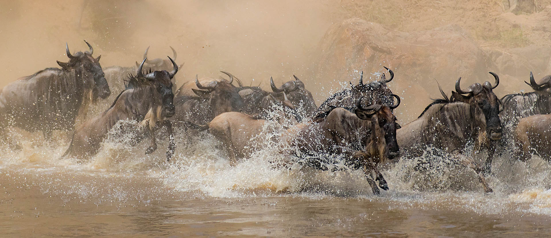 Gnoes steken de Mara rivier over