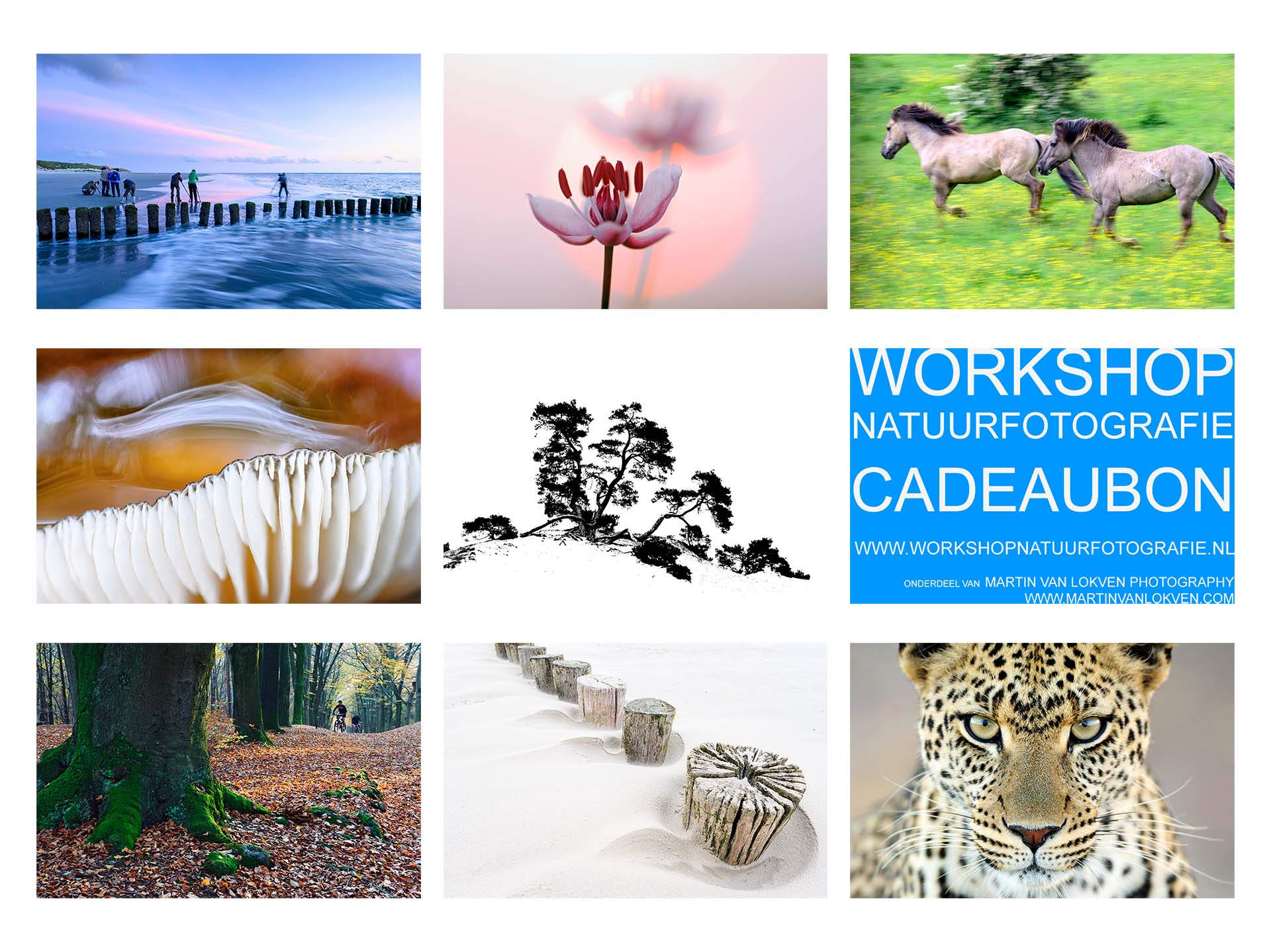 Workshop Natuurfotografie Cadeaubon