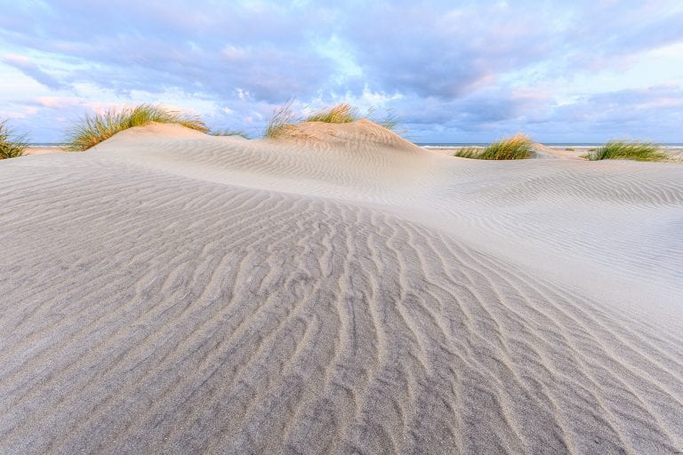 Jonge duinen met zandpatroon en helmgras.