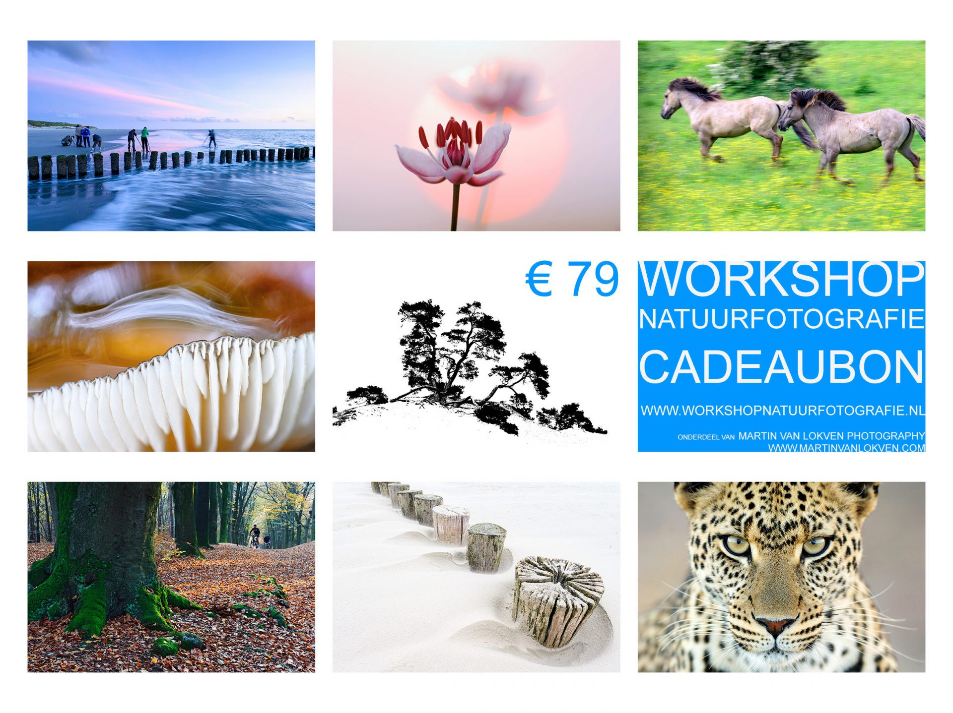 Workshop natuurfotografie cadeaubon