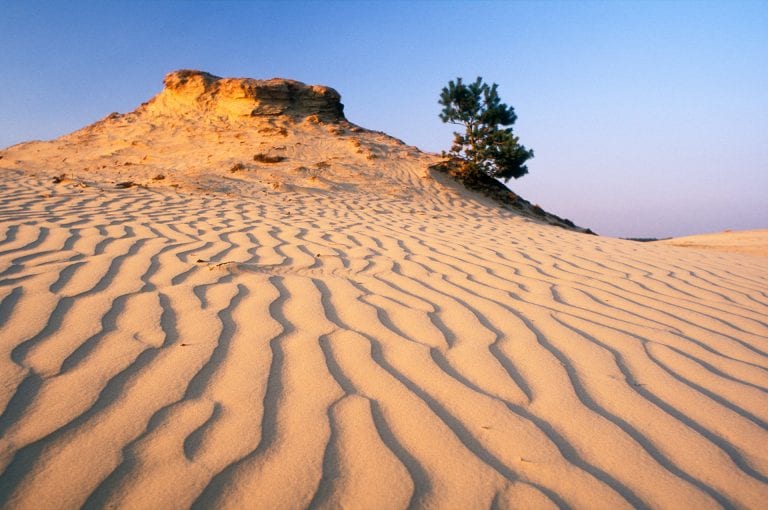 Ribbelpatroon in zandduin bij zonsondergang op het Kootwijkerzand